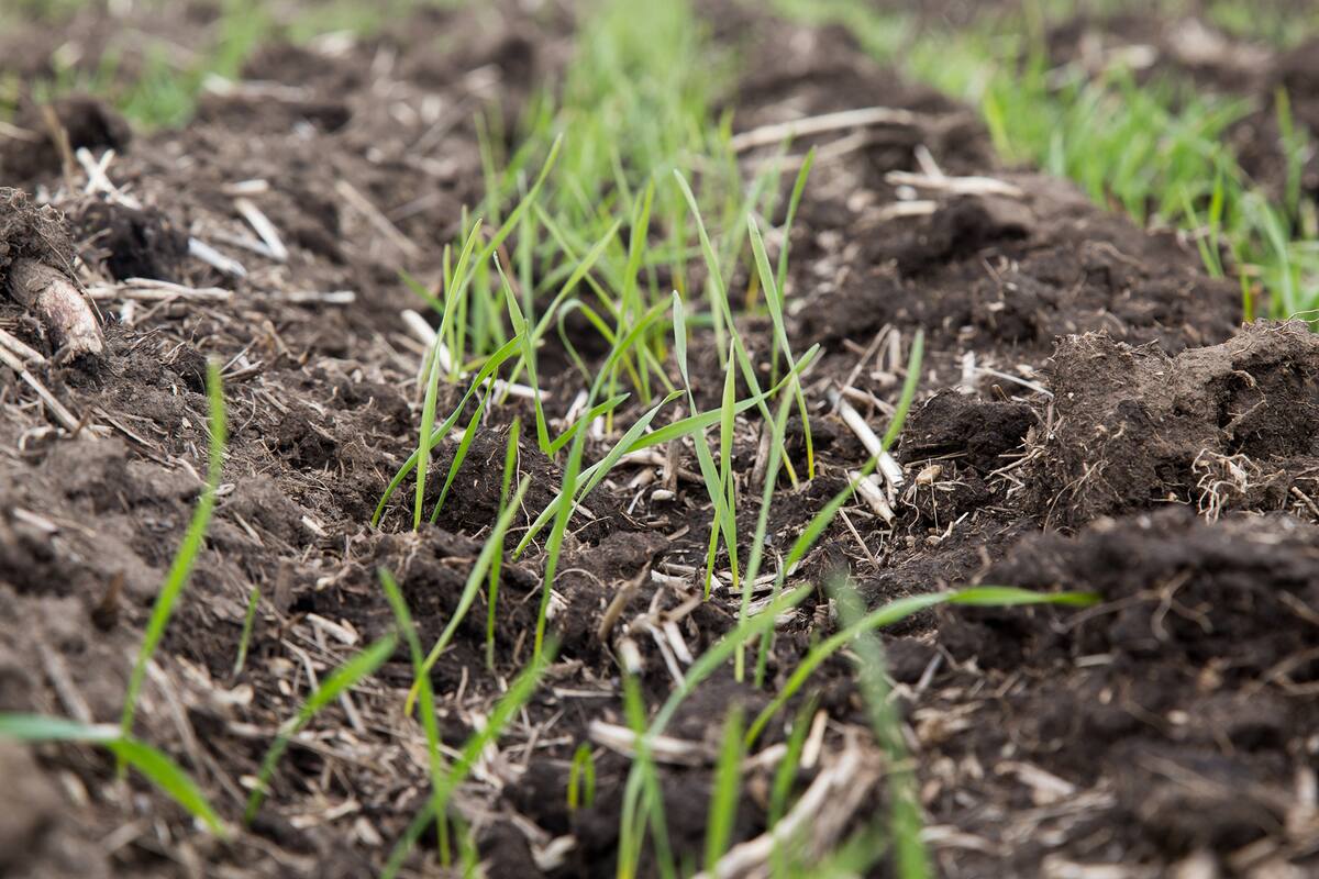 Fertilización
Tras los altos rindes y el cuidado del suelo
Todos los suelos requieren de atención