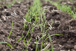 Una oportunidad para cambiar la historia agrícola
