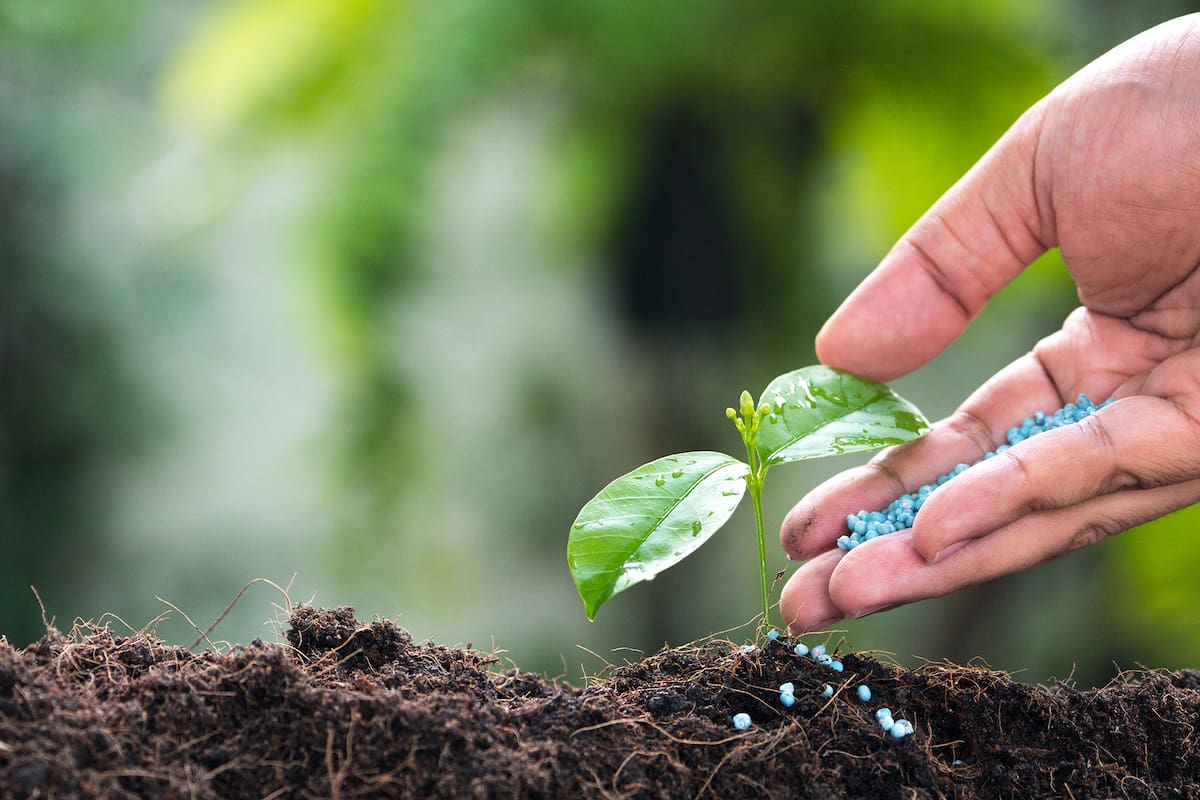 Fertilizantes, insumo clave para la producción