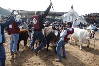 Festejos en la pista central de la Exposición Rural de Palermo con la coronación de los grandes campeones bovinos