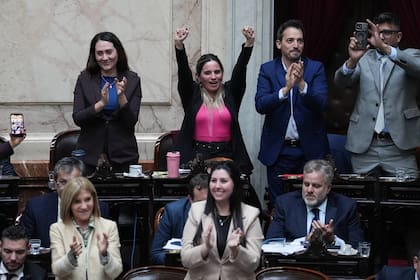 Festejos por la votación de la ley de discapacidad en el Congreso