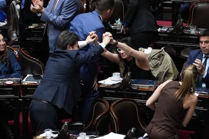 Festejos por la votación de la ley de discapacidad en el Congreso