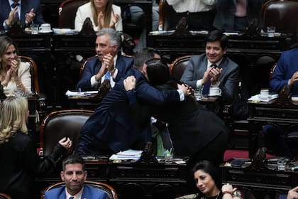 Festejos por la votación de la ley de discapacidad en el Congreso