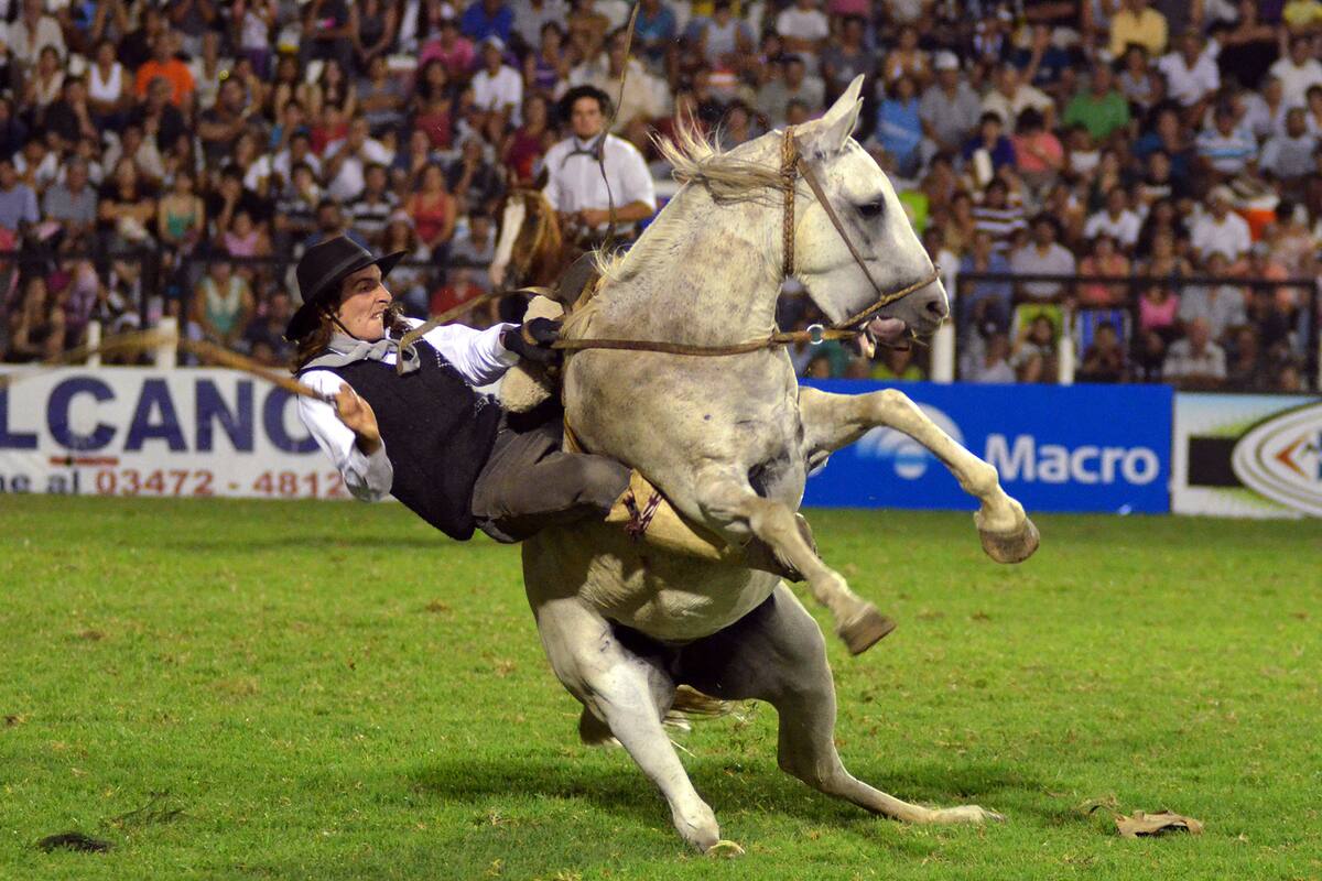 Abel Pintos estará en la apertura de la 57° edición del Festival de Doma y Folklore de Jesús María, en Córdoba