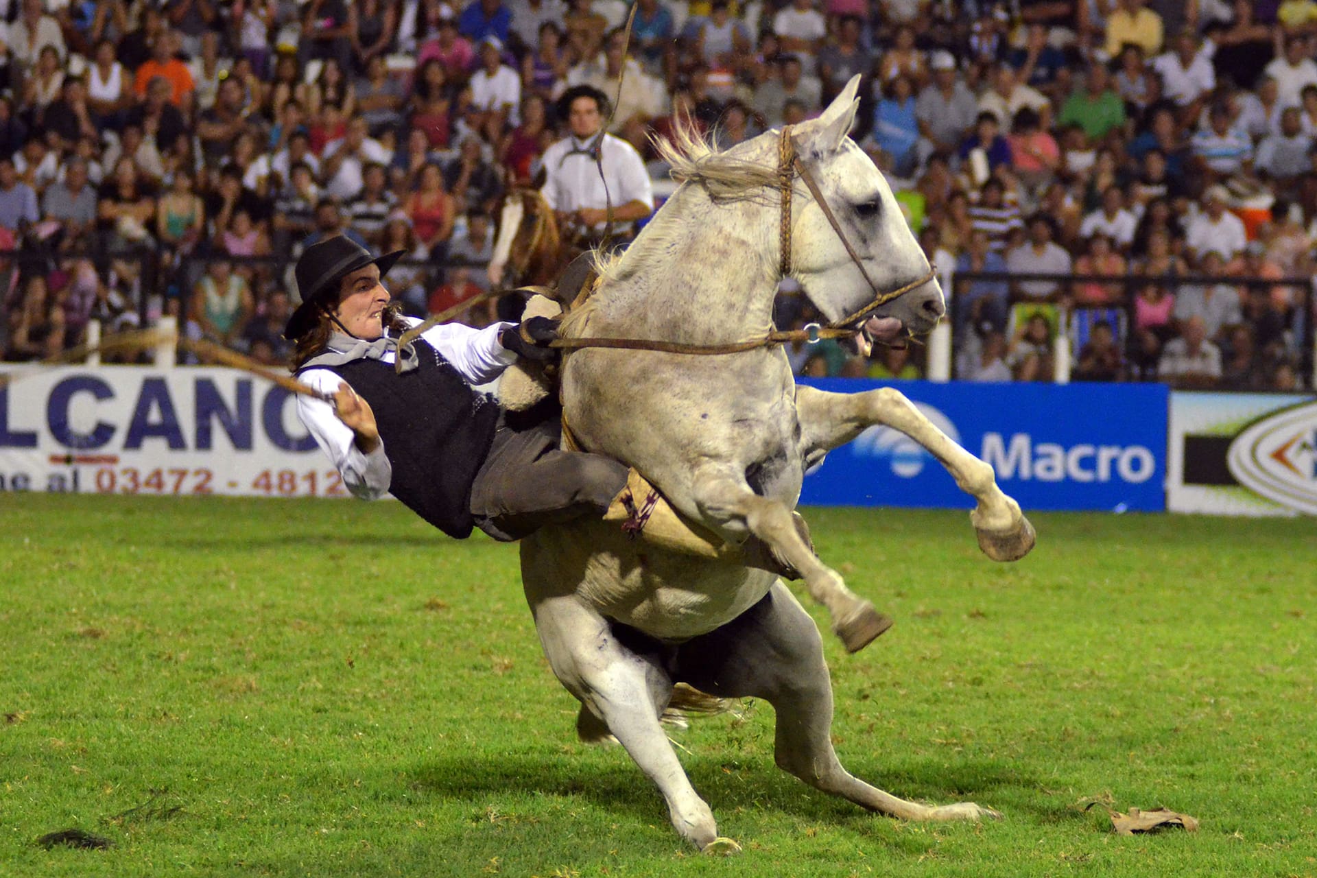festival-nacional-de-doma-y-folklore-de-jesus-YG5P3YZLPBH63MRQ5TKNULUWHI