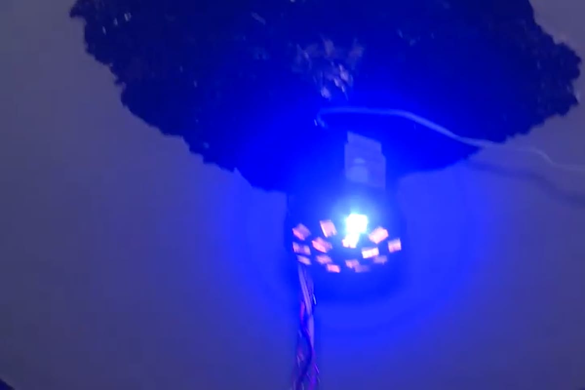 Fiesta clandestina en Constitución