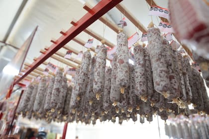 Fiesta Nacional del Salame Quintero