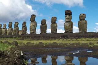 Líquenes, erosión y ganado: la Isla de Pascua combate el deterioro de los moais