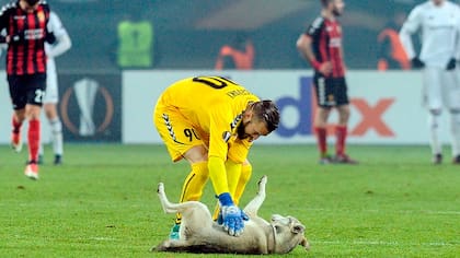 Filip Gacevski controla al perro lobo que invadió la cancha