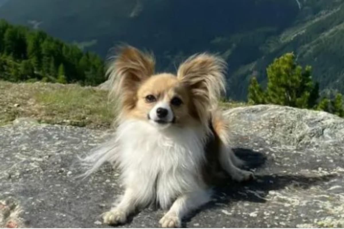 Filip tiene 2 años y medio y fue el gran héroe