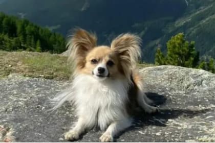 Filip tiene 2 años y medio y fue el gran héroe