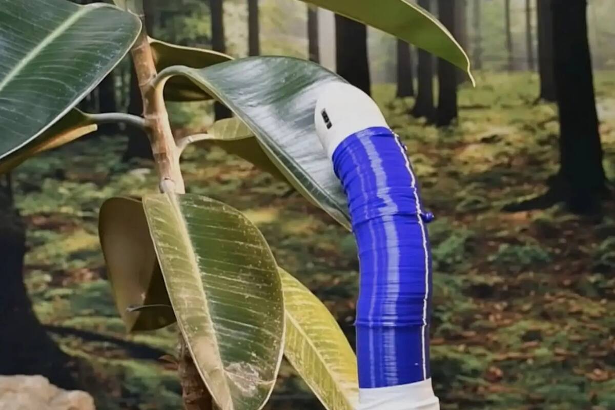 FiloBot es un robot capaz de extender su cuerpo a voluntad, como si se tratara de una planta