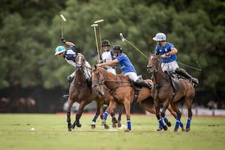 Un Palermo tan raro que Ellerstina puede favorecer a La Dolfina y puede haber finalista dos semanas antes