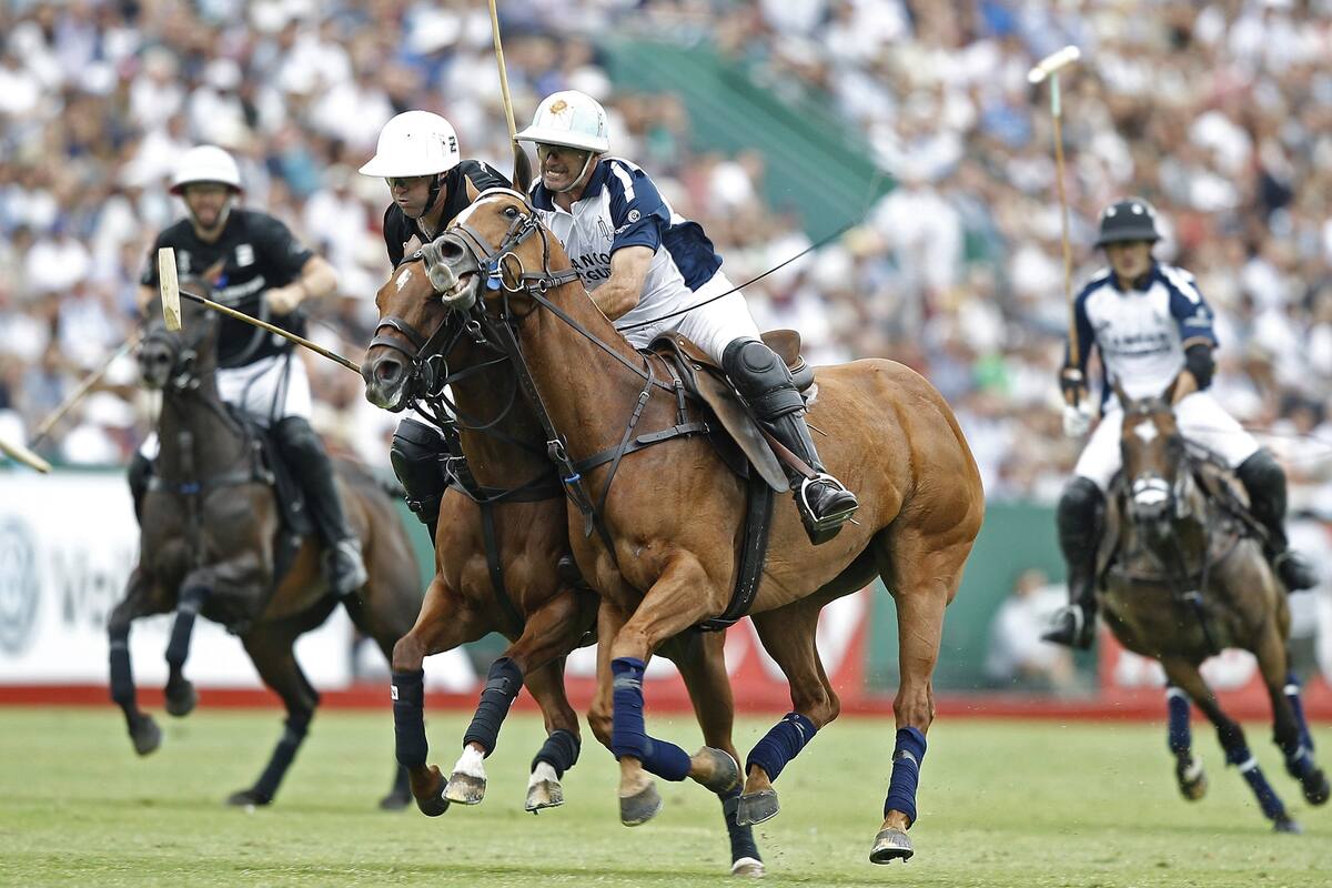 Final del Abierto Palermo Polo, La Dolfina campeon