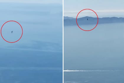 Finalmente, lograron grabar al "hombre volador"