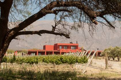 Finca Albarossa