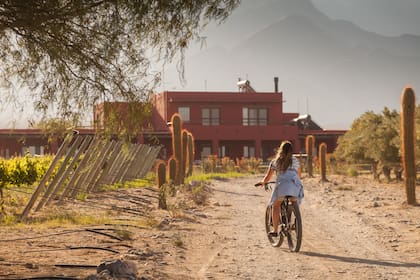 Finca Albarossa, hotel boutique sobre un viñedo.