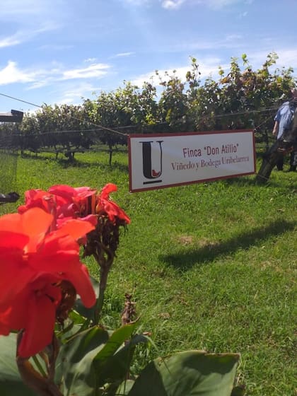 Finca Don Atilio, La Noria, Uribelarrea