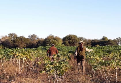 Finca Don Miguel es un emprendimiento gastronómico y de cabañas que trabaja con productores del Impenetrable Chaqueño