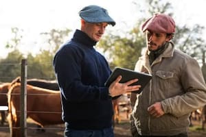 El llamado que cambió el rumbo de un proyecto digital que se metió entre los más influyentes