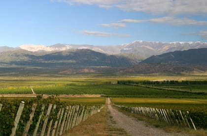 Finca La Yesca, en Valle de Pedernal (San Juan), donde nace el Malbec Sagrado, de Finca Las Moras