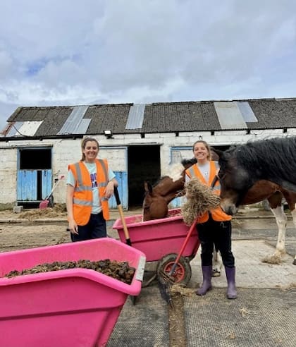 Fio y Ania trabajando en una granja en Irlanda