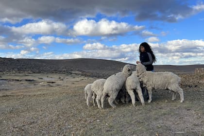 Fiorela Marifilo le da de comer a las ovejas en el campo de sus abuelos en Traquetrén, en Chubut