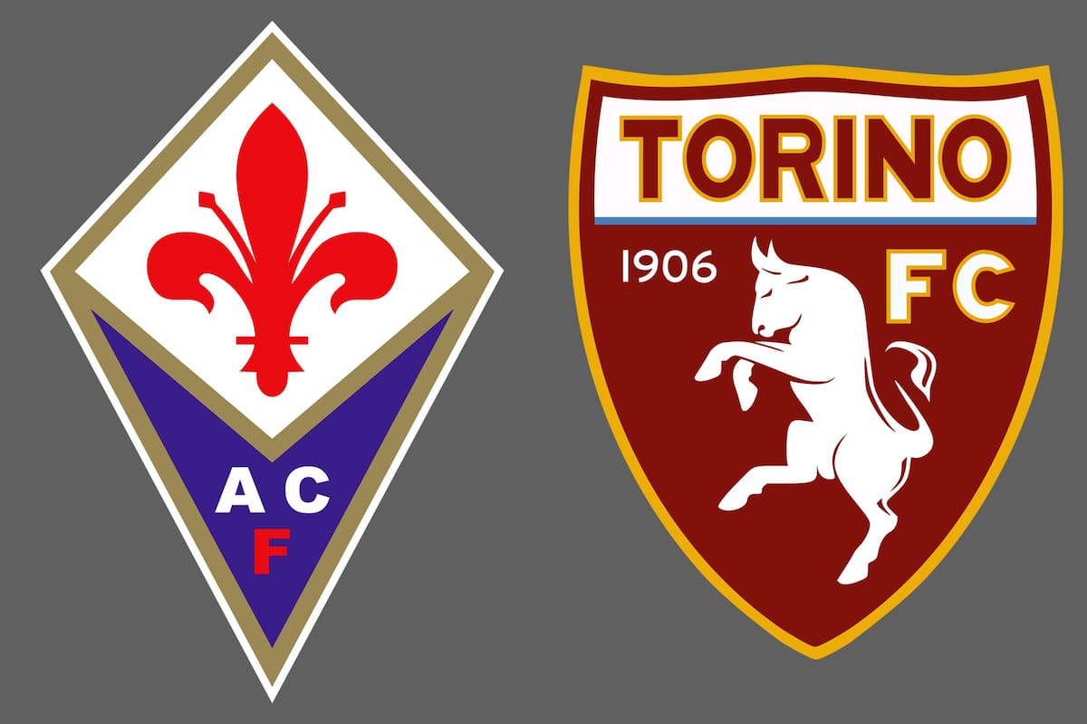 Fiorentina y Torino disputaron uno de los encuentros de la jornada del fútbol italiano