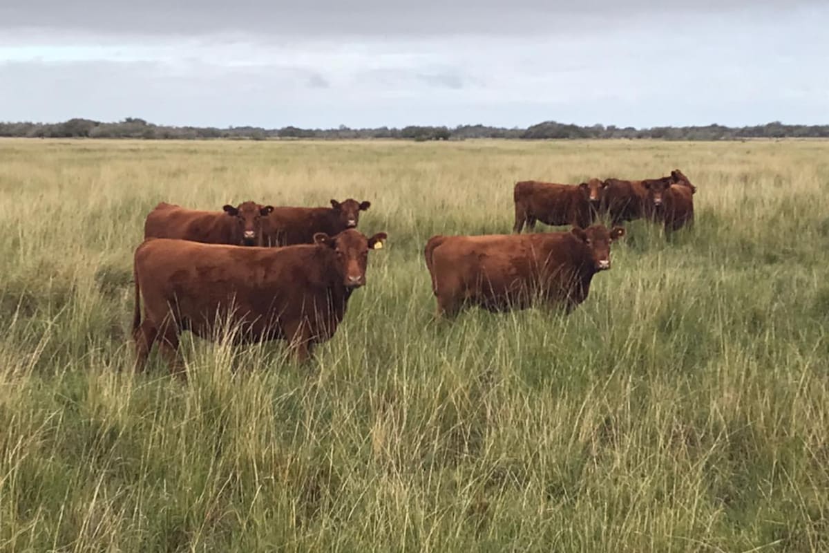 Firmaron el documento la cartera de Agricultura, el Consejo Federal Agropecuario (CFA), del Consejo Agroindustrial Argentino (CAA), Confederaciones Rurales Argentinas (CRA), Coninagro, la Sociedad Rural Argentina (SRA), Federación Agraria Argentina (FAA) y Aapresid