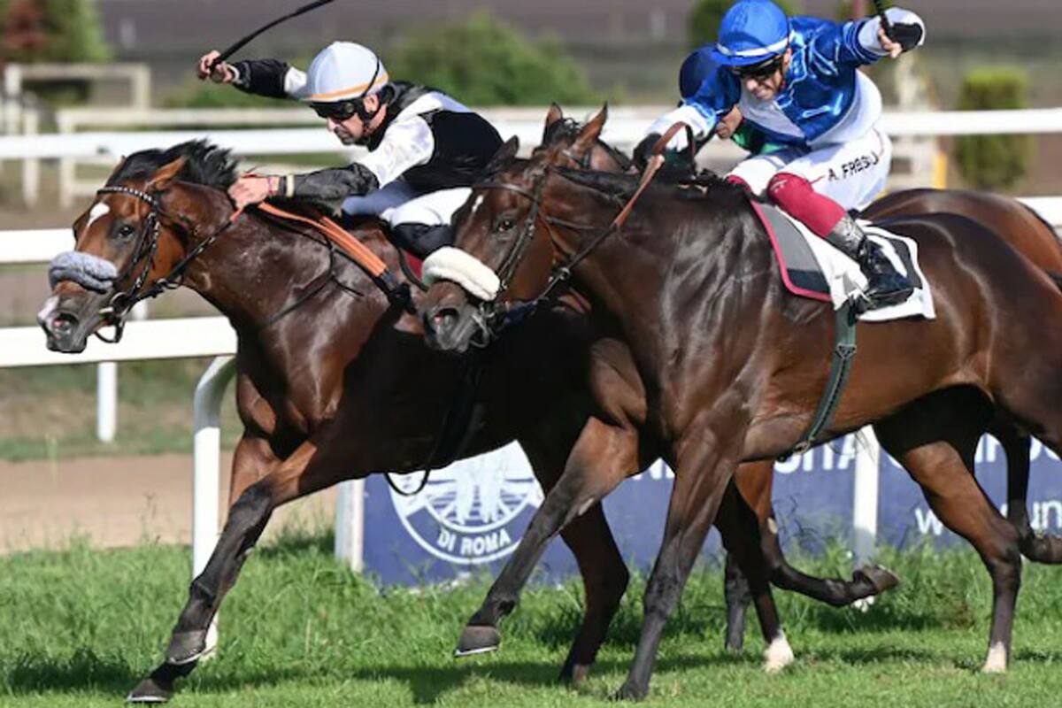 Flamingo Girl en plena carrera con su contrincante Deadline en el Premio Cumami de Roma