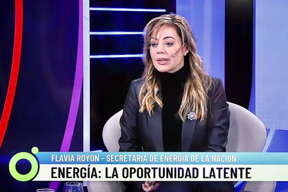 Flavia Royon, secretaria de Energía