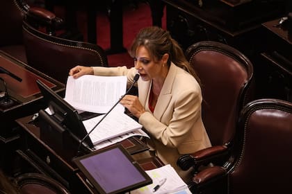 Flavia Royon, senadora clave entre las aliadas