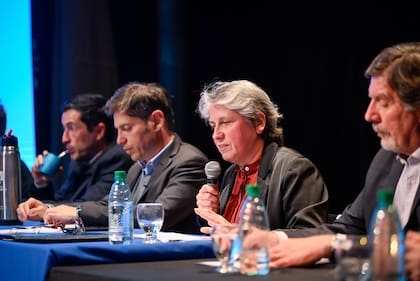 Flavia Terigi, la nueva responsable de Educación en la provincia de Buenos Aires