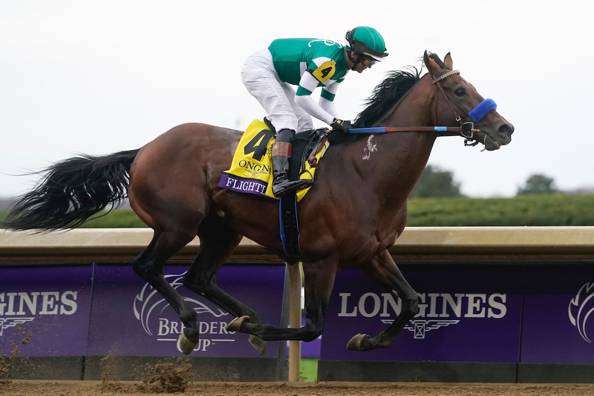 Flightline voló en Keeneland para ganar la Breeders' Cup Classic, por varios cuerpos; en el pescuezo aparecen los pelos blancos, otro de los rastros de la recuperación de su herida previa a debutar en las pistas.