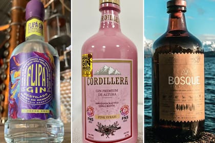 Flipá London Dry compite como gin clásico, Cordillera Pink Syrah en la sección de saborizados y Bosque Nativo como contemporáneo