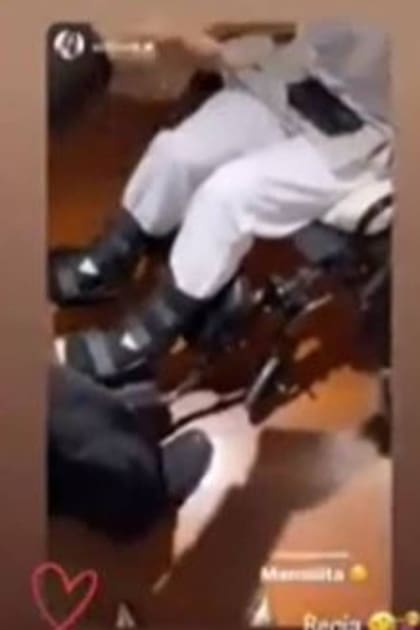 Floppy Tesouro sufrió la fractura de sus dos huesos calcáneos