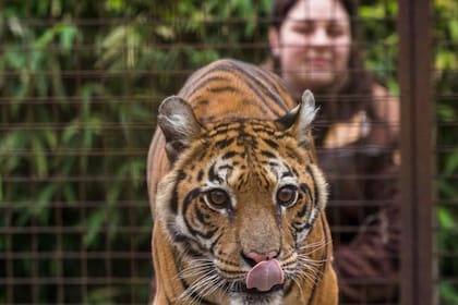 Flora, en el santuario Felida, en Países Bajos