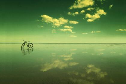 Floral Zú, Bicicletas en foco