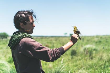 Florencia Pucheta lleva adelante el proyecto de conservación del Tordo Amarillo