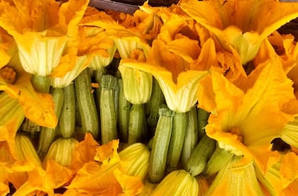 Flores comestibles