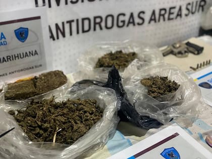 Flores de cannabis y panes de marihuana compactada