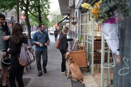 Flores en las veredas y propuestas en las calles, una constante de la Av. Jorge Newbery