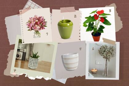 Flores, ramos, plantas: está comprobado que incluir un poco de naturaleza en el hogar ayuda al bienestar. Propuestas de Club LA NACION para lograrlo.