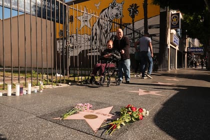 Flores sobre la estrella del fallecido Rob Reiner en el Paseo de la Fama