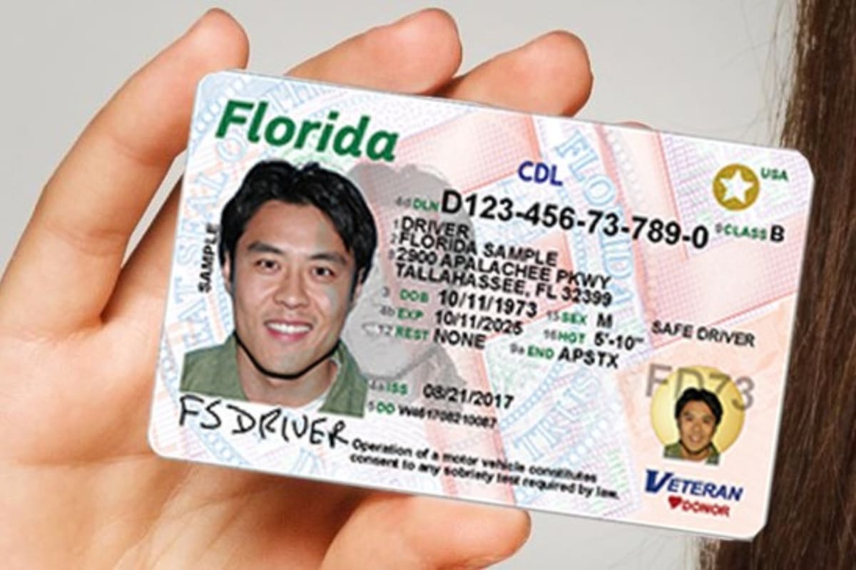 Florida implementa una legislación que requiere cambios en las licencias de conducir