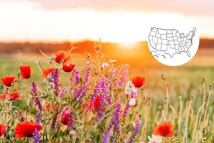 Florida marca el inicio de la primavera con semanas de anticipación