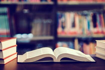 Florida recibió más de 1200 objeciones en el año fiscal pasado, que resultaron en la eliminación de 386 libros