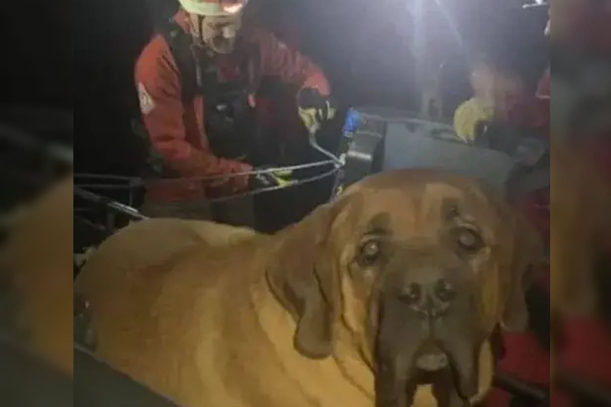 Floyd debió ser rescatado tras su paseo por la montaña (Foto Instagram @momos_saad)