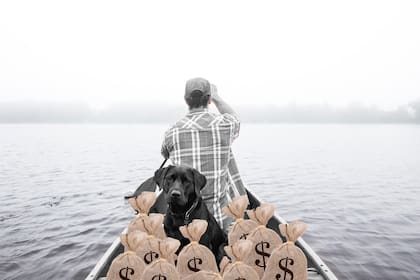 Flujo y capital: los pilares de tu crecimiento patrimonial