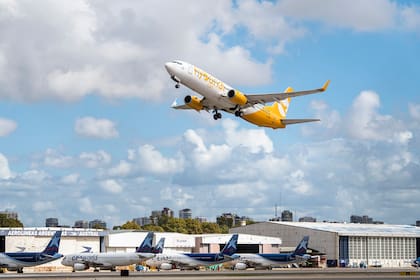Flybondi reanudará sus vuelos a Brasil y Uruguay